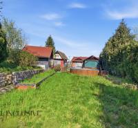Gardens in Kráľová nad Váhom with a cottage, dense vegetation, and a lawn under the blue sky.