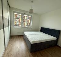 Bedroom with a built-in wardrobe, double bed, and wooden decor flooring in a two-room apartment.