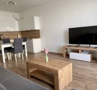 Living room with a kitchenette, dining table, and television in a 2-room apartment with a wood-patterned floor.