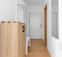 Entrance hallway in a 2-room apartment with a cabinet and wooden decor flooring.