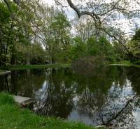 A lake surrounded by trees and green grass in Stupava on Vincent Šikula.