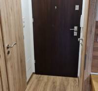 The entrance hallway of a studio apartment with dark doors and a wooden-patterned floor.