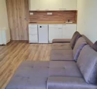 Studio apartment with a kitchenette, gray sofa, and wood-patterned flooring.