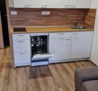 A studio apartment kitchen with white cabinets, a dishwasher, and wood-patterned flooring.