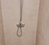 A shower corner in a studio apartment with a simple design and clean lines.