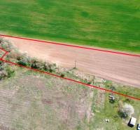 Aerial view of plots in Ondrejovce, gardens bordered by a line of trees.