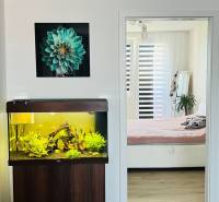 Aquarium and wooden decor flooring in a 3-room apartment, transition to a bright bedroom.