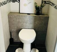 A bathroom in a 3-room apartment with a toilet, a picture, and a plant on the windowsill.