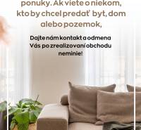 A bright living room with a comfortable sofa and a plant, a 2-room apartment with a wooden decor floor.