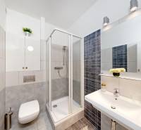 Bathroom in a 2-room apartment with a shower and tiles in modern grey color.