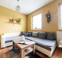 Living room in a two-room apartment with a wood-patterned floor and comfortable seating.