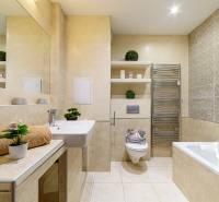 Bathroom in a 2-room apartment with a bathtub, sink, and decorations on the shelves.
