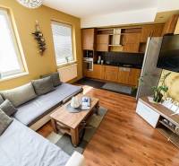 Living room with wood-patterned flooring, a sofa, and a kitchenette in a two-room apartment.