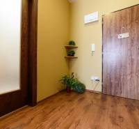 Entrance hall of a 2-room apartment with a wooden decor floor and plants.