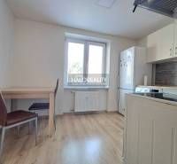 A kitchen in a studio apartment with furnishings and flooring featuring a wood decor.