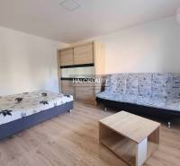 Interior of a 1-room apartment with a bed, sofa, and wooden decor flooring.