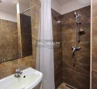 Bathroom in a studio apartment with a sink, mirror, and shower on dark tiles.