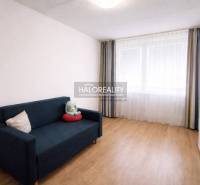 A room in a 4-room apartment with a blue sofa and a wooden decor floor.