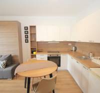 Compact kitchen and living area with wood-patterned flooring in a studio apartment.