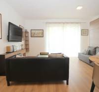1-bedroom apartment with a sofa, TV, wooden floor decor, and large windows.
