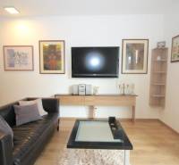 Living room in a studio apartment with a television, leather sofa, and wooden decor flooring.
