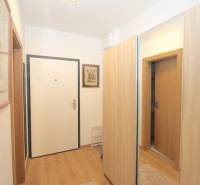 The interior of the hallway with a wood-patterned floor in a studio apartment.