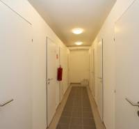 Hallway with light walls and doors, 1-bedroom apartment, storage space.