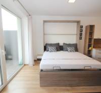 A bedroom with a pull-out bed and a wooden decor floor in a studio apartment.