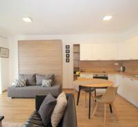 Living room with kitchen in a studio apartment with a wooden decor floor.