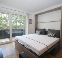 A one-room apartment with a balcony view and a bed in a smart wall.
