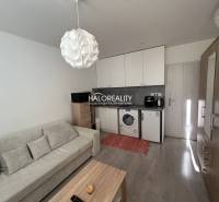 Studio apartment with a sofa, kitchenette, wardrobe, and wooden floor decor.