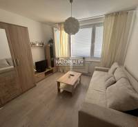 Studio apartment with wood-patterned flooring, a sofa, and a wardrobe.