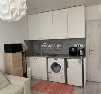 A kitchen in a studio apartment with a sink, washing machine, refrigerator, and microwave, bright interior.