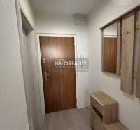 A studio apartment with a wooden floor, an entrance hall with furniture and a coat rack.