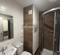 Compact bathroom in a studio apartment with a corner shower and wooden wall decor.