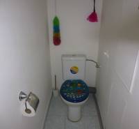 A toilet in a 2-room apartment with colorful decor and cleaning supplies.
