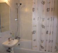 A bathroom in a 2-room apartment with a bathtub and a curtain with a sheep motif.
