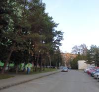 A parking lot surrounded by greenery and cars in the area of Prešov.