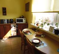 A bright kitchen with wooden decor in a 2-room apartment full of plants.