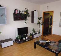 Living room in a 2-room apartment with a wooden decor floor, shelves, and plants.