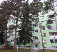 A green facade apartment building surrounded by trees in the city of Prešov offers a 2-room apartment.