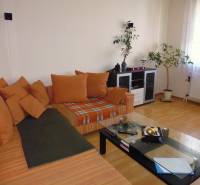 Living room in a two-room apartment with an orange sofa and a wooden decor floor.