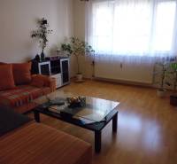 Living room in a 2-room apartment with a wooden decor floor and a comfortable sofa.