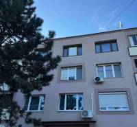 The exterior of an apartment building with a tree in Šahy and a balcony on a 2-room apartment.
