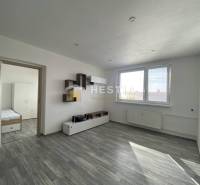 Living room of a two-room apartment with a wood-decor floor and a large window.