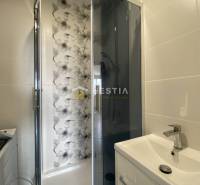 A bathroom in a 2-room apartment with a modern shower and floral wall decor.