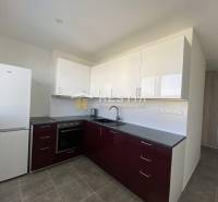 A kitchen in a 2-room apartment with dark cabinets and white appliances.