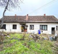 An old family house is awaiting renovation, and there is wild vegetation and mess in the garden.