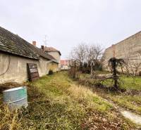 An old building with a crumbling roof and a garden with wild growth, a family house in the background.