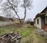 A garden with grass and old wooden logs, next to a family house.